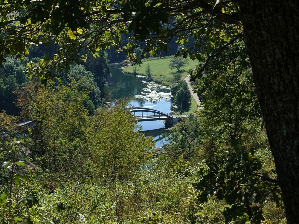 Donaubrücke bei Gutenstein