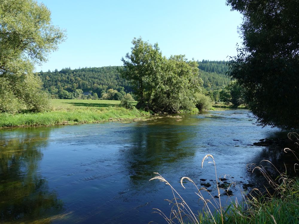 Donau bei Gutenstein