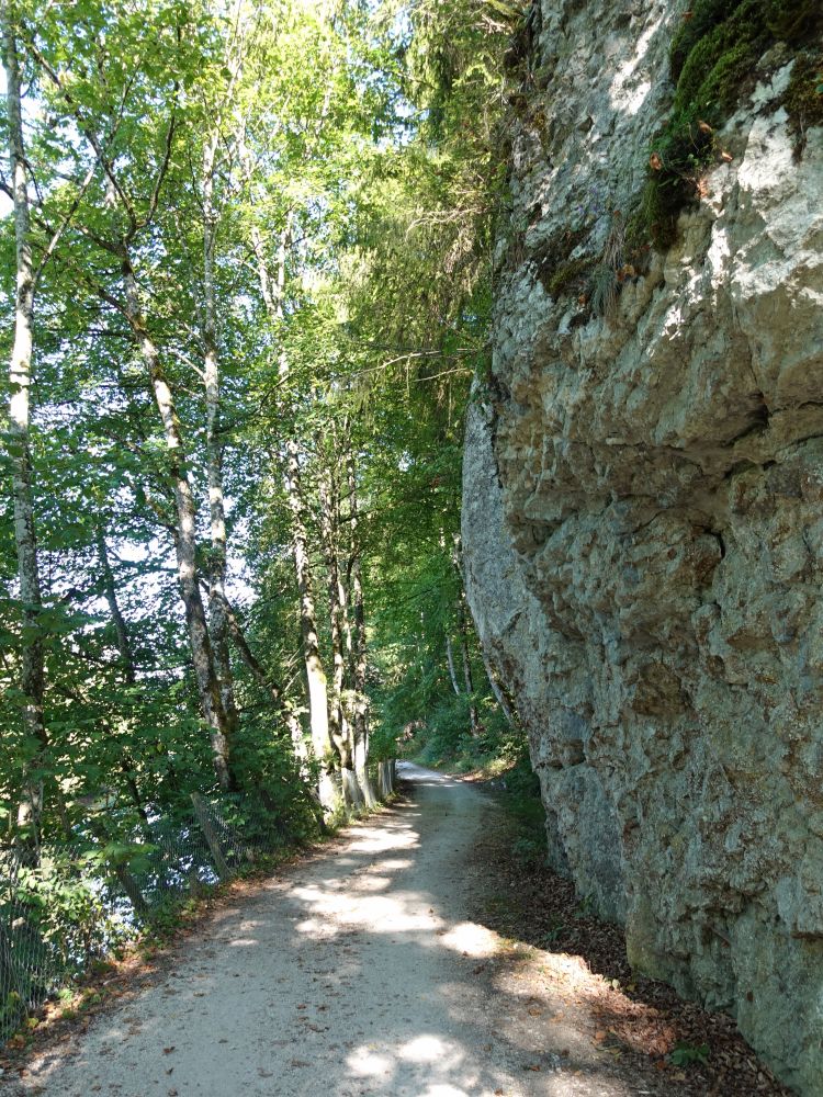 Donauweg unter einer Felswand