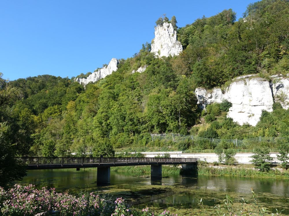 Donaubrücke bei Neumühle