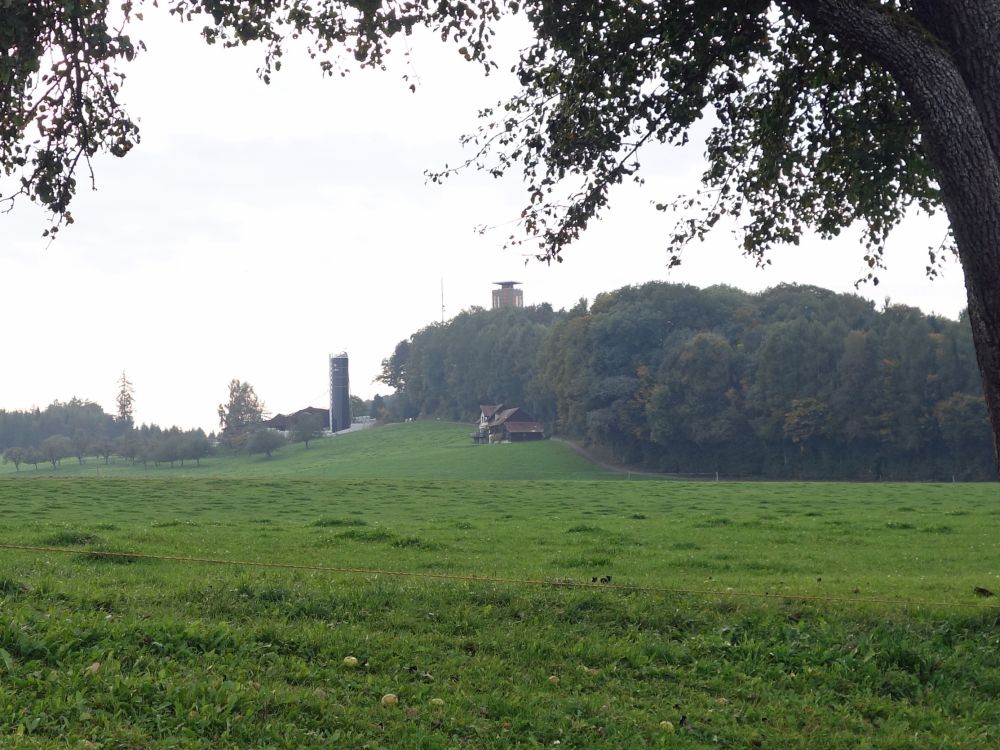 Blick zum Napoleonturm