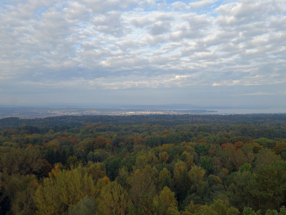 Herbstwald und Blick Richtung Konstanz