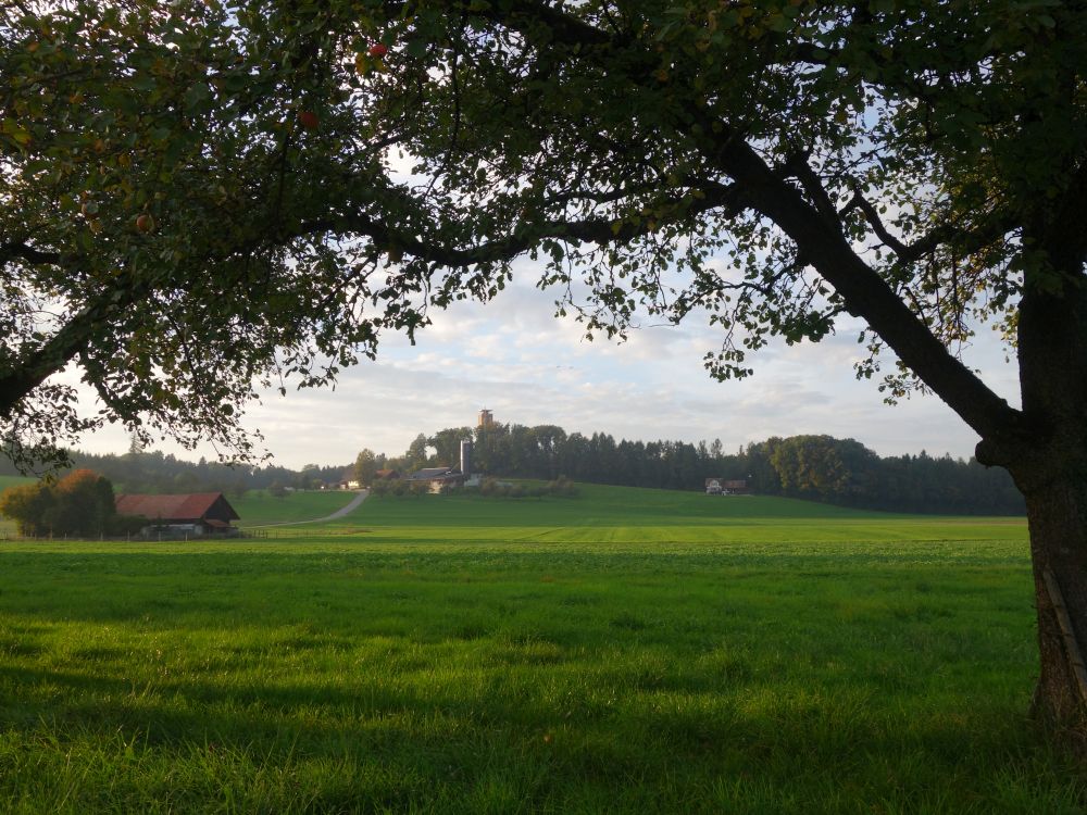 Blick Richtung Napoleonturm