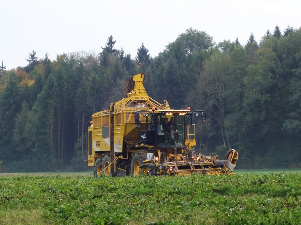 Rübenerntemaschine