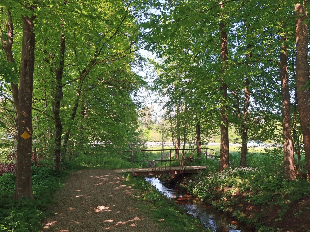 Steg übern Rädlibach