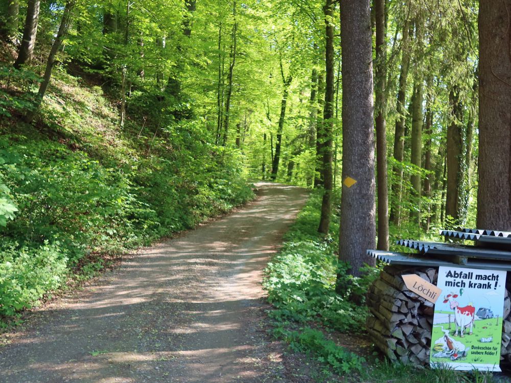 Waldweg zum Löchli