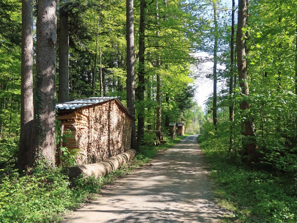 Waldweg