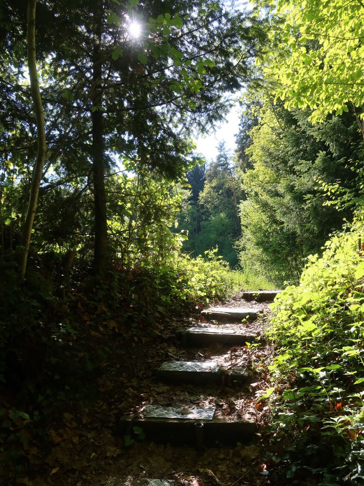 Treppe mit Gegenlicht