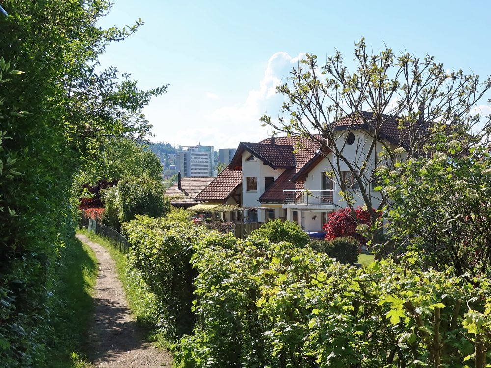 Wanderweg bei Kobelhöhe