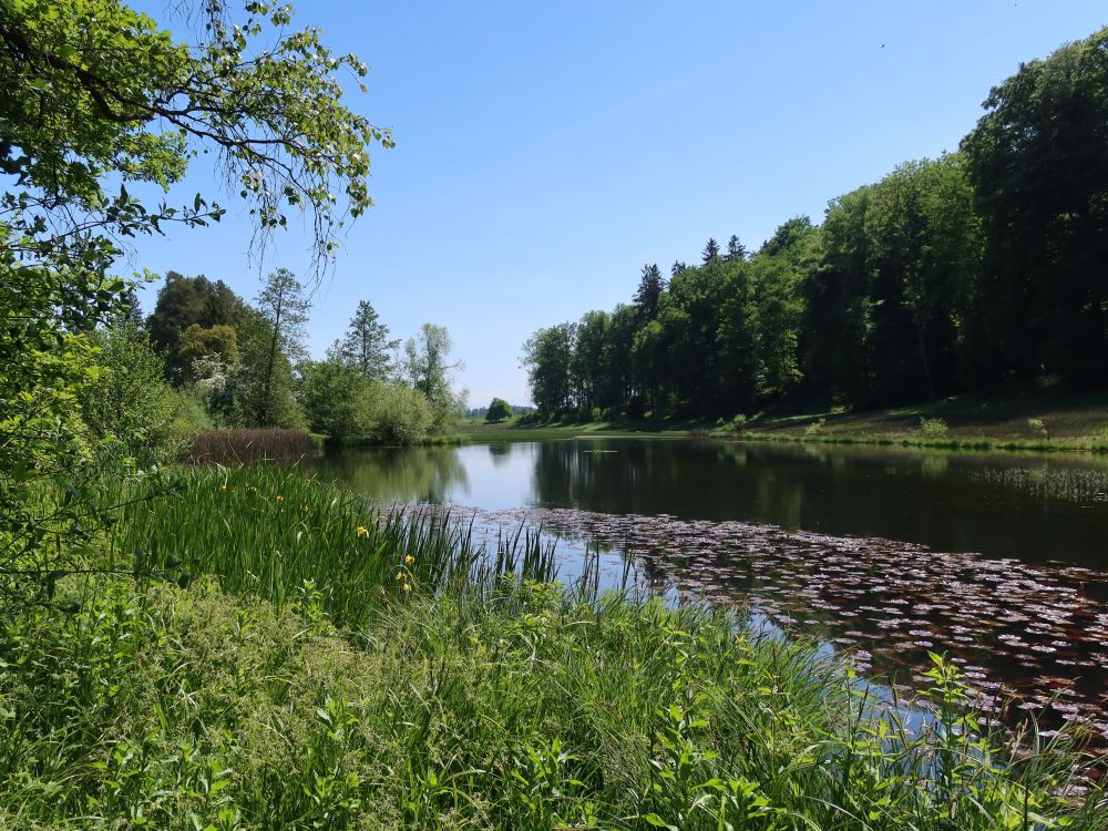 Eigentalweiher