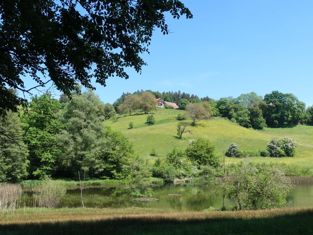 Eigentalweiher