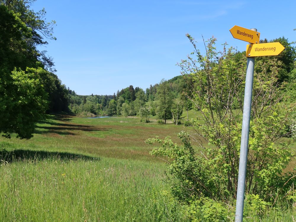 Blick zum Eigentalweiher