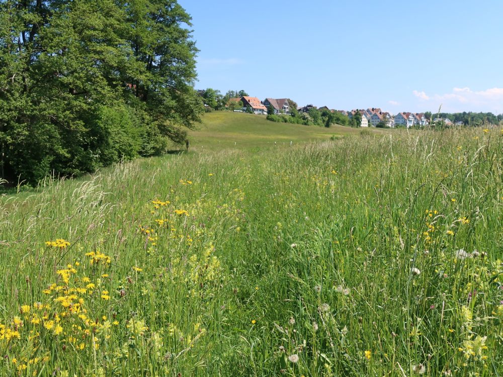 Blick nach Birchwil