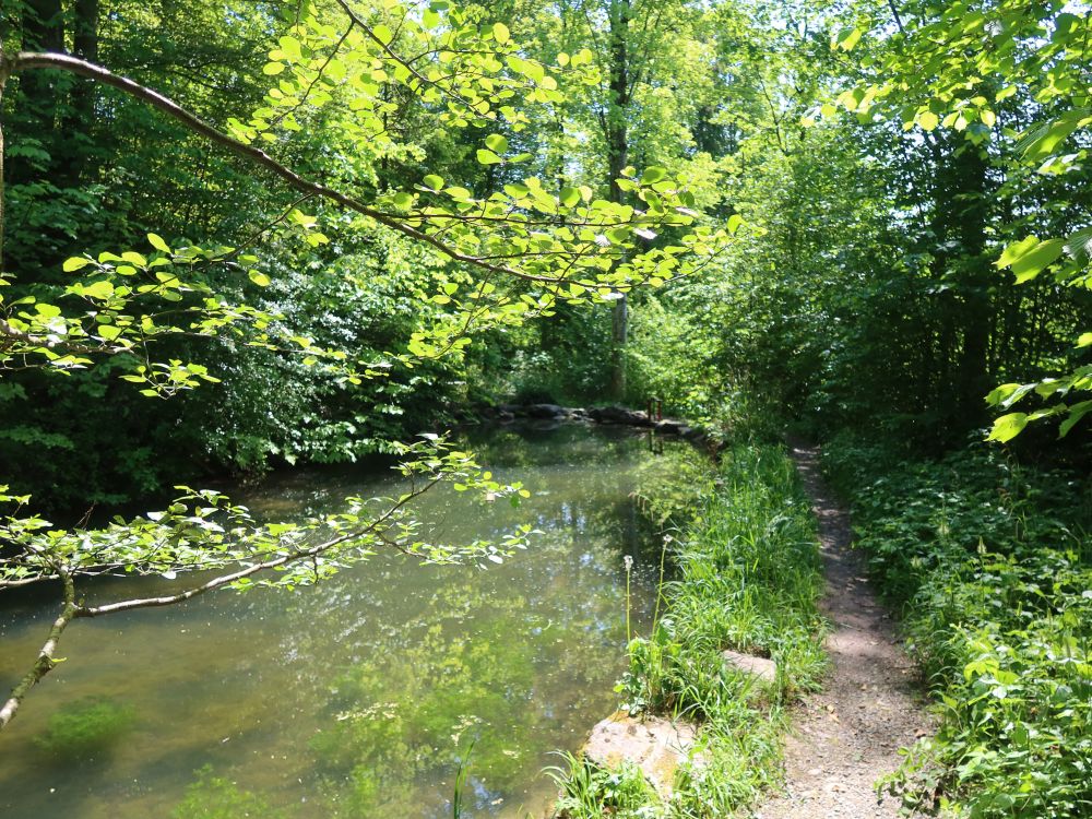 Teich am Altbach