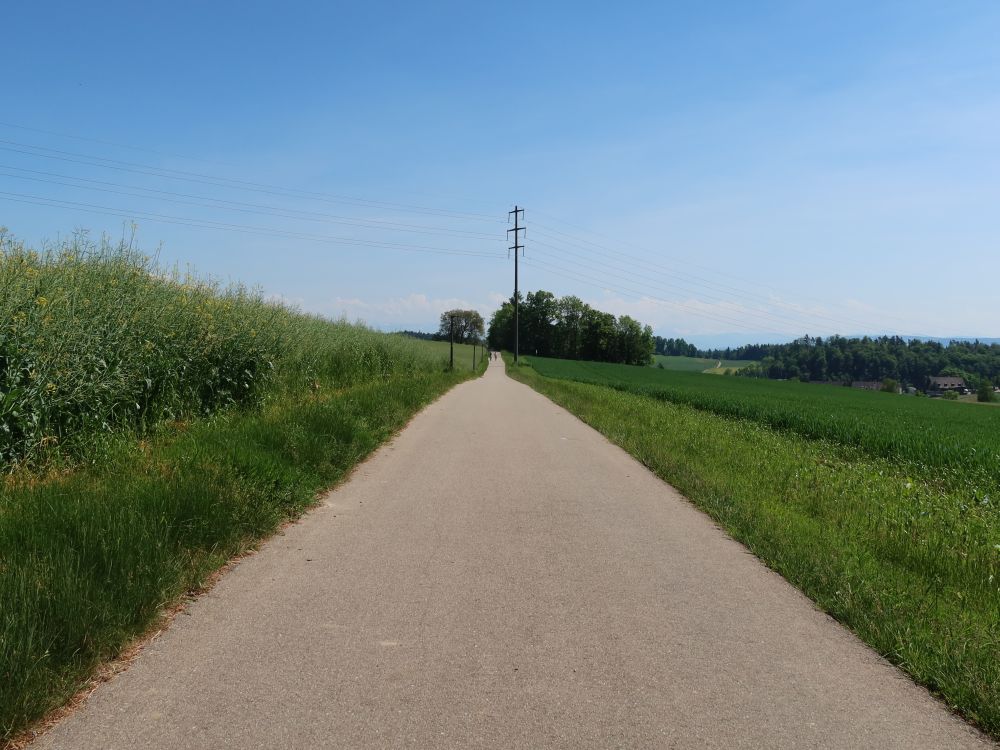 Wirtschaftsweg nach Nürensdorf