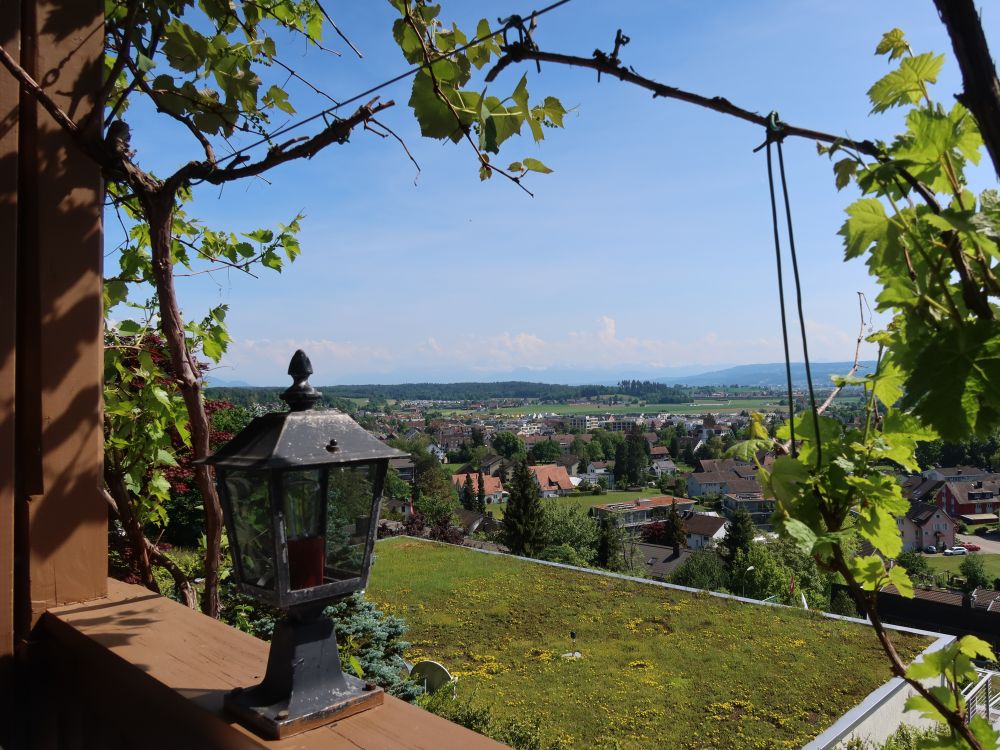 Blick vom Chalet Waldgarten