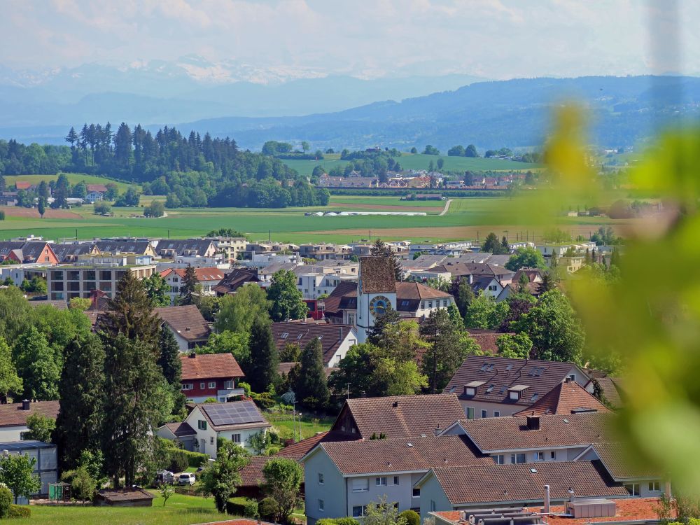 Bassersdorf und Alpensicht