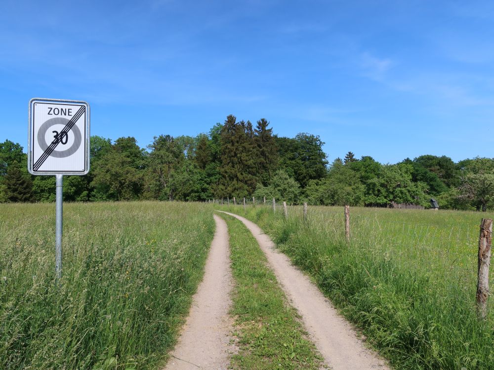 endlich wieder schneller als 30 km/h laufen