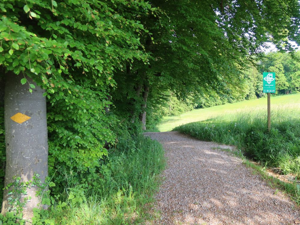 Höcklerweg