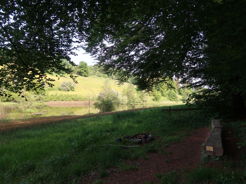 Feuerstelle am Eigentalweiher