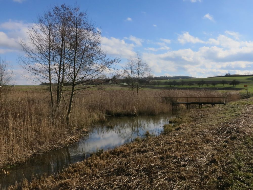 Zufluss Nussbommersee