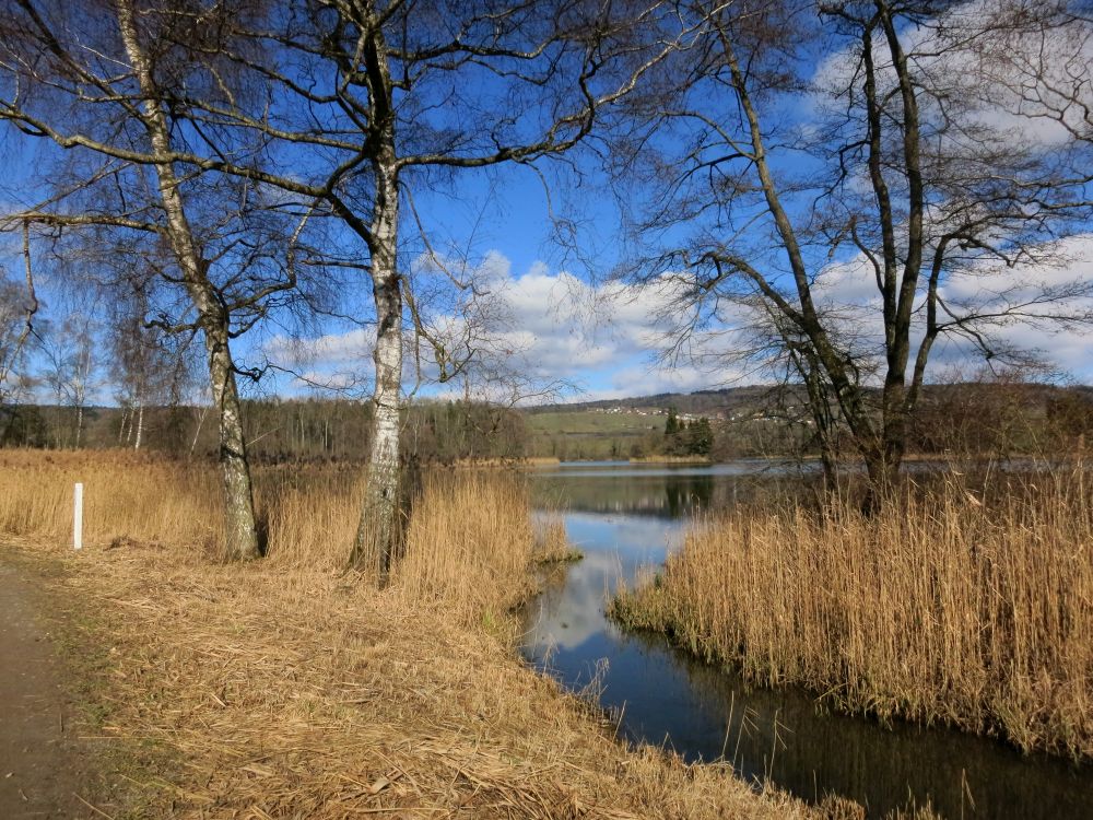 Zufluss Nussbommersee