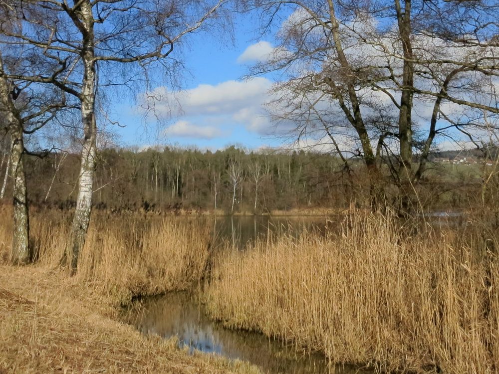 Zufluss Nussbommersee