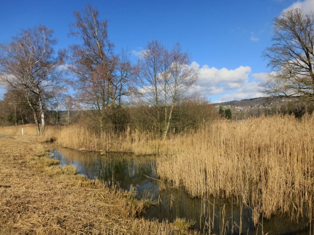 Zufluss Nussbommersee