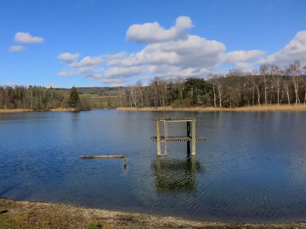 Nussbommersee