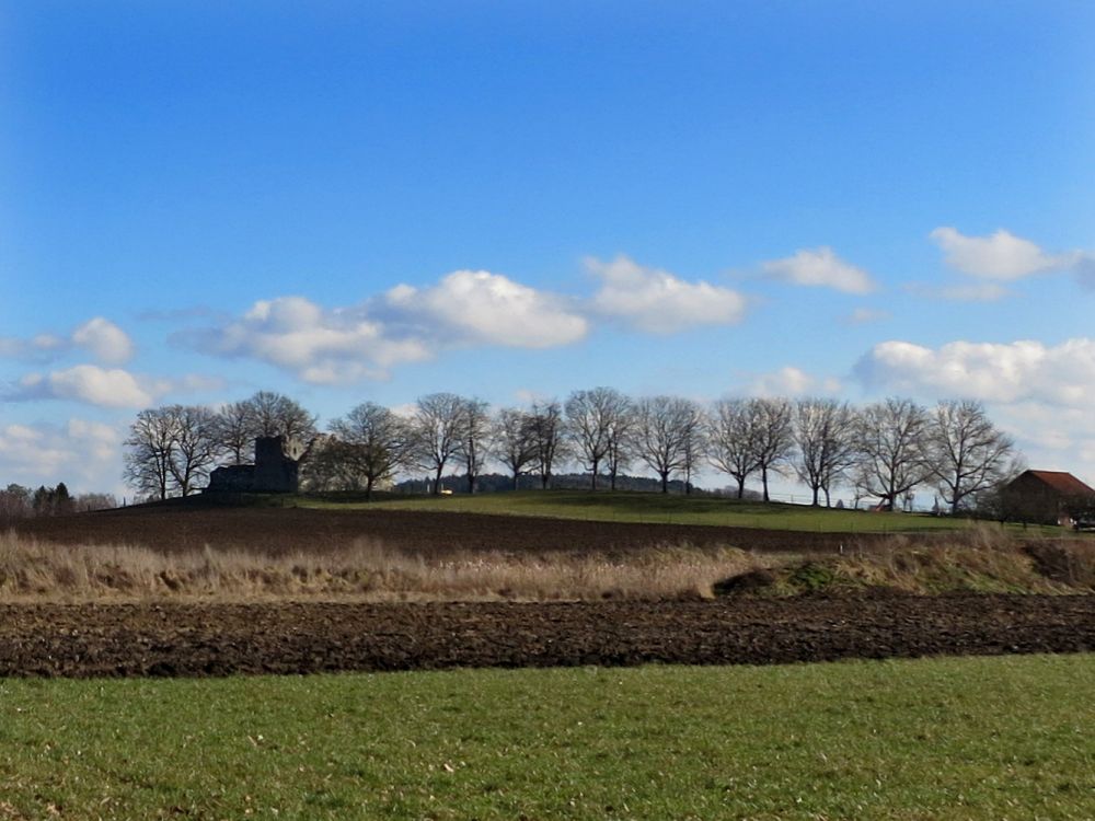 Ruine Hälfenberg
