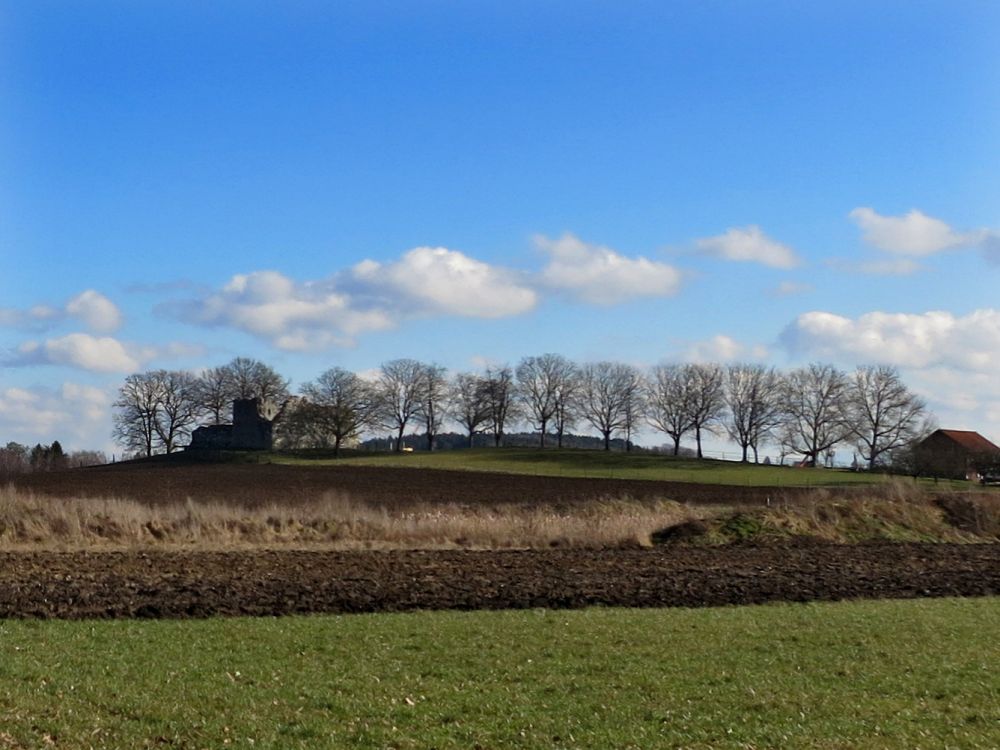 Ruine Hlfenberg