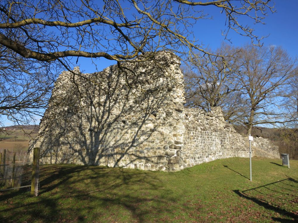 Ruine Hlfenberg