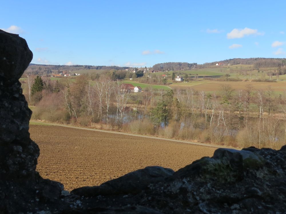 Blick zum Httwilersee