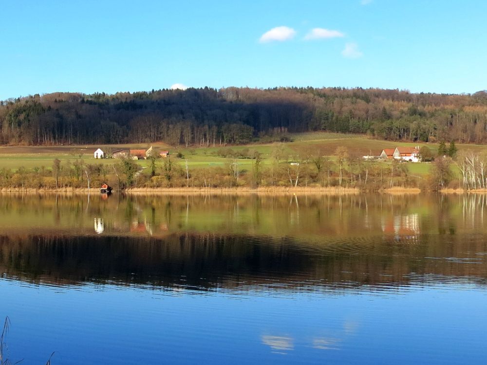 Hüttwilersee