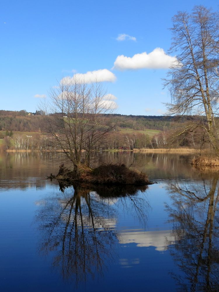 Hüttwilersee