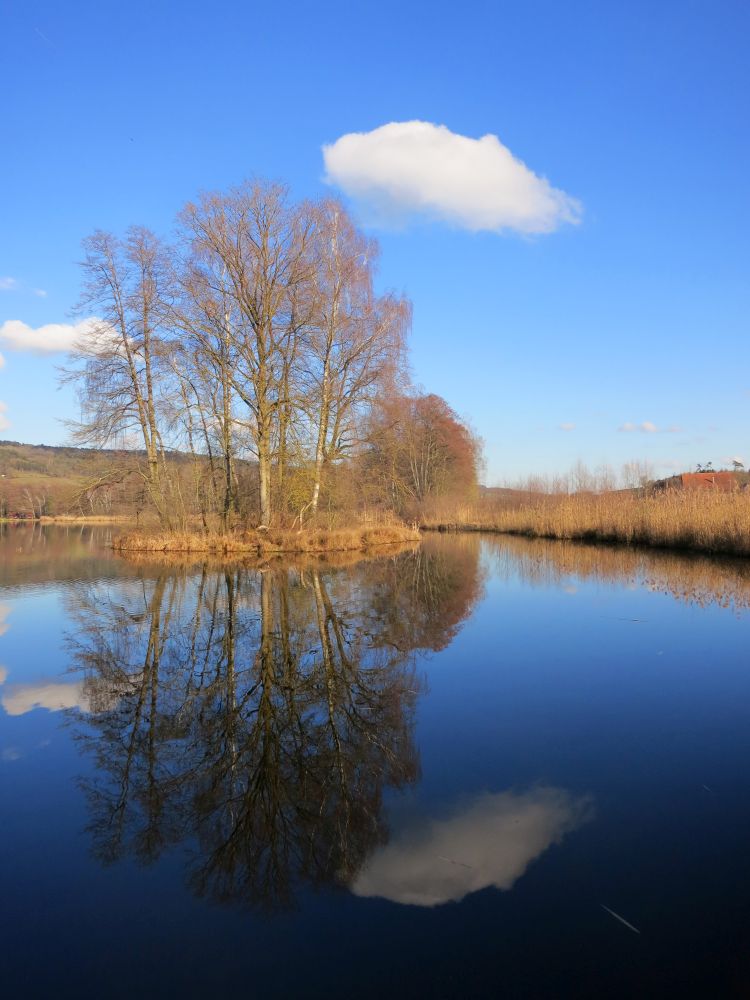 Hüttwilersee