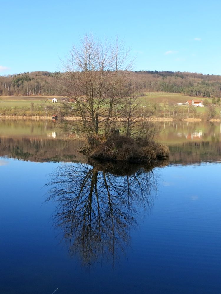 Httwilersee