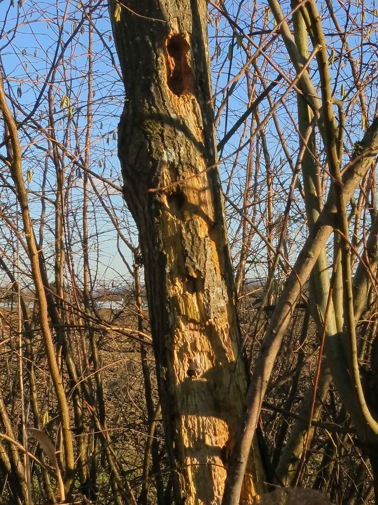 Bohrlöcher