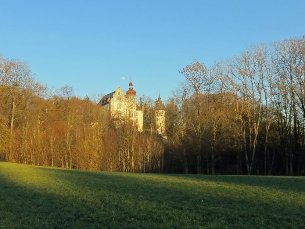 Schloss Steinegg