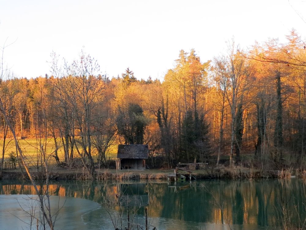 Steinegger Weiher