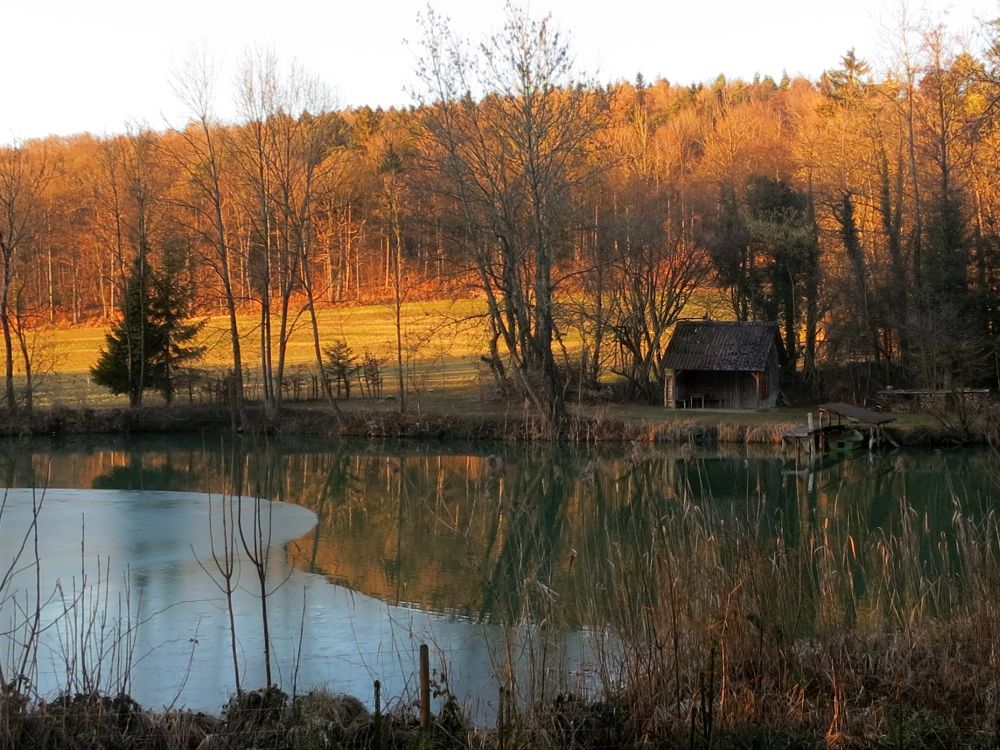 Steinegger Weiher