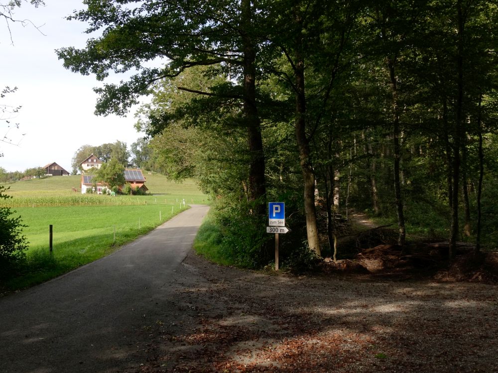 Parkplatz beim Wilenersee