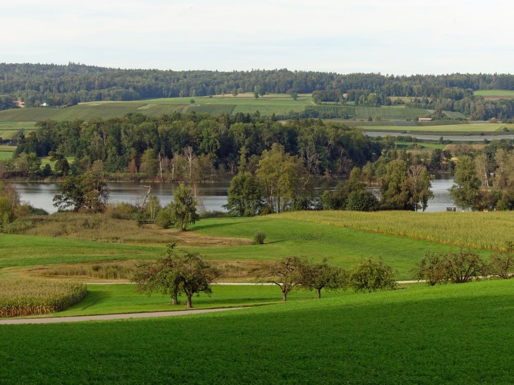 Nussbommersee