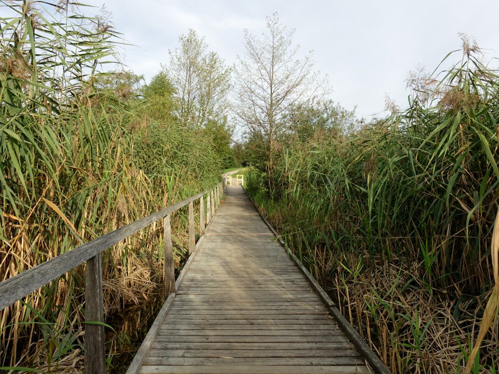 Steg am Nussbommersee