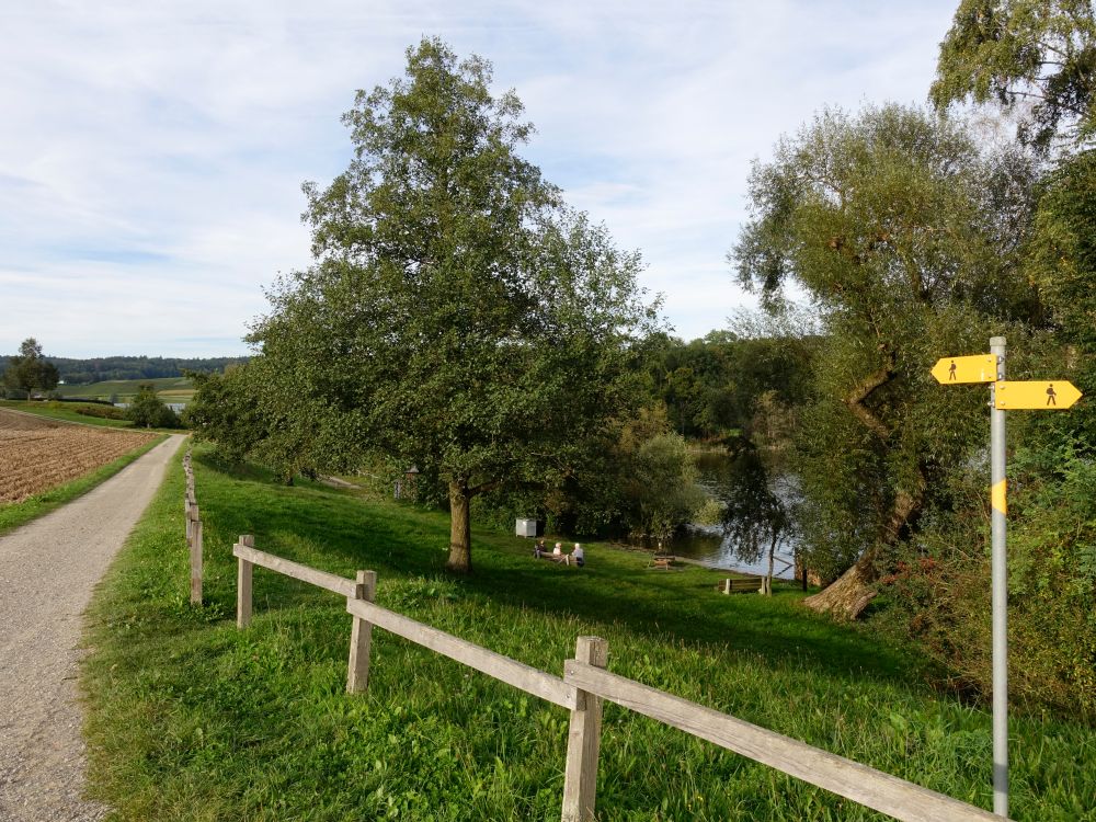 Weg am Nussbommersee