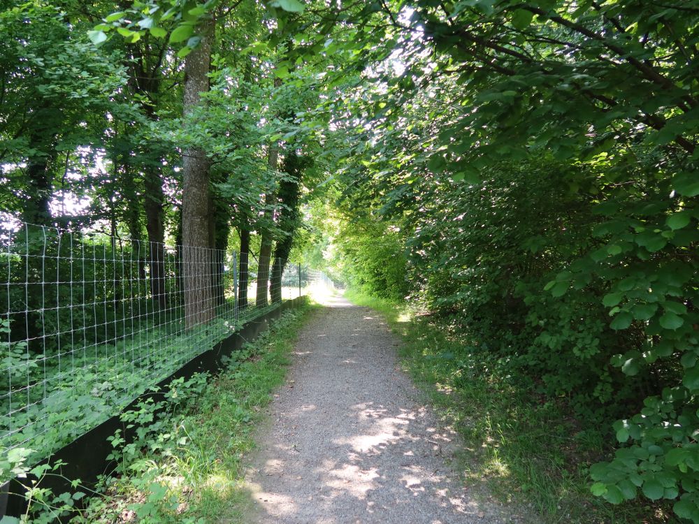 Weg am Glattufer