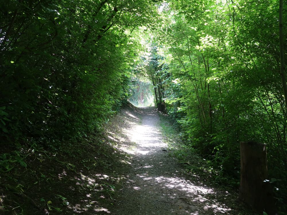 Weg am Glattufer