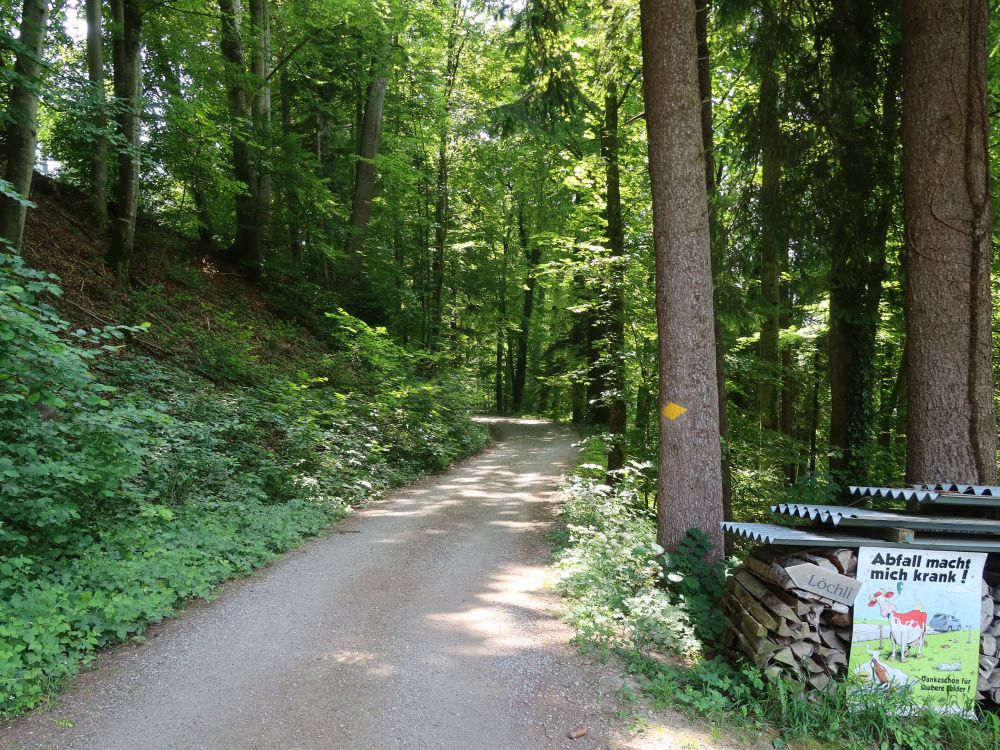 Waldweg