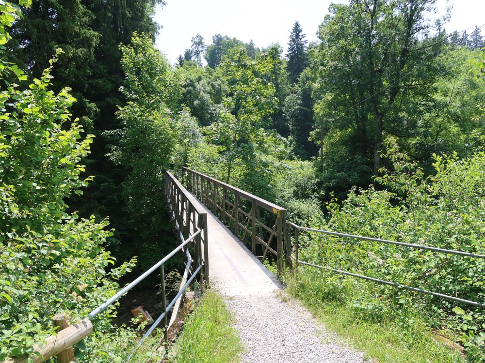 Steg im Löchli