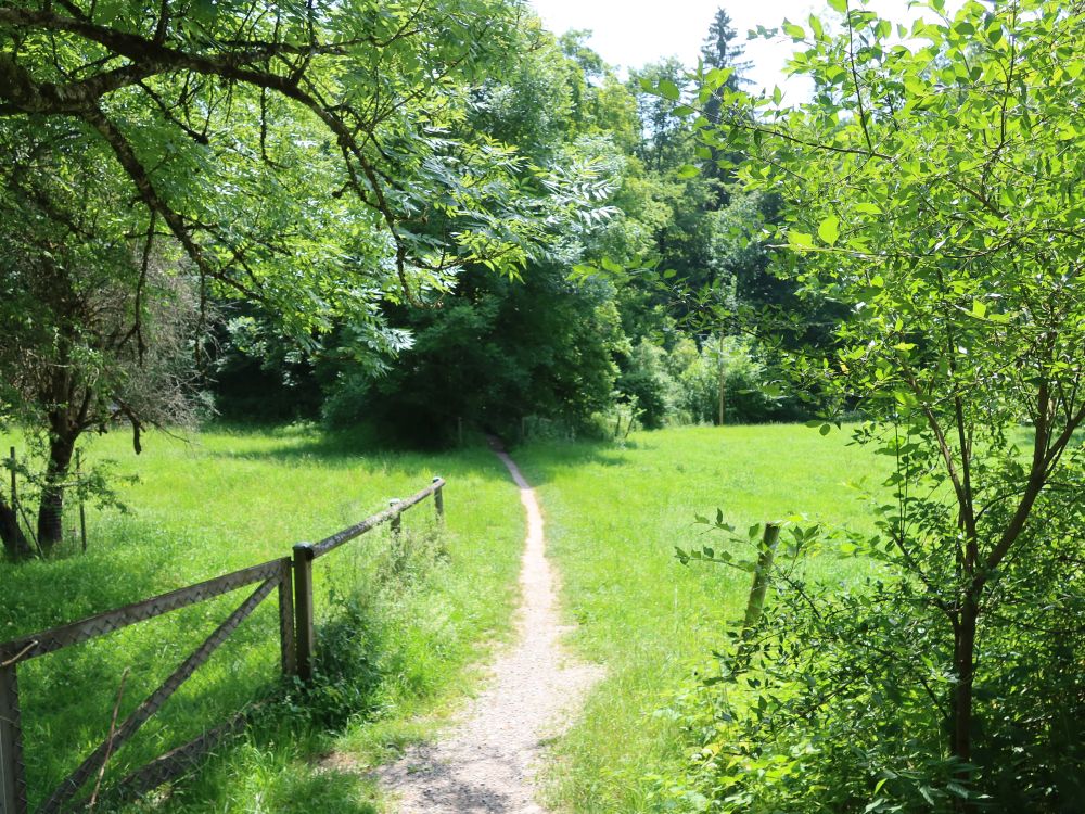Wiesenpfad